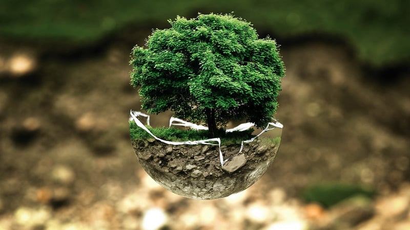 Environmental Scientist